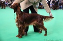 Crufts2011 223